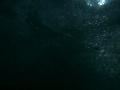 video clip 12230507