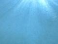 video clip 12230583
