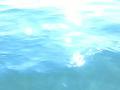 video clip 12230739
