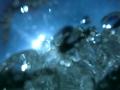 video clip 12231107