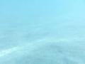 video clip 12231369