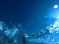 video clip 12231381