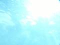 video clip 12231495