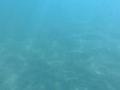 video clip 12231633