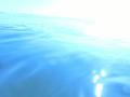 video clip 12231701