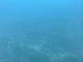 video clip 12231789