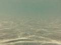 video clip 12232025