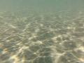 video clip 12232071