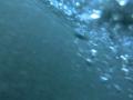 video clip 12232507