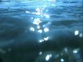 video clip 12232981