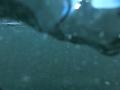video clip 12233125