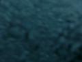 video clip 12233135