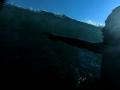 video clip 12233283