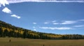 Fall Colors Timelapse