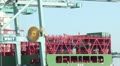 video clip 12278865