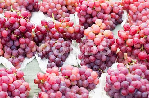 Stock photo of grapes
