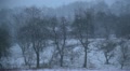 video clip 12344425
