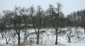 video clip 12346003