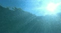 video clip 12384033
