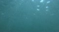 video clip 12384367