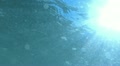video clip 12384407