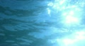 video clip 12384537