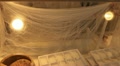 video clip 12392299