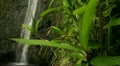 video clip 12416289