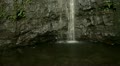 video clip 12417845