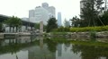 video clip 12436901