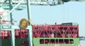 video clip 12446905