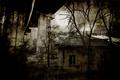 night spooky house