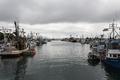 Fishing Fleet In Port Photo