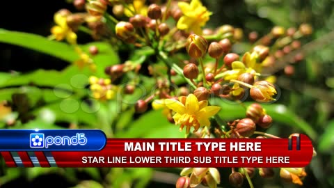 After Effects Project - Pond5 Star Line Lower Third.zip 12542596 After Effects Project - Pond5 Star Line Lower Third.zip 12542596