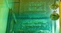 video clip 12545895
