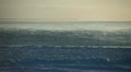 video clip 12585439