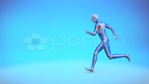After Effects Project - Pond5 Running Heart Beat 12614518 After Effects Project - Pond5 Running Heart Beat 12614518