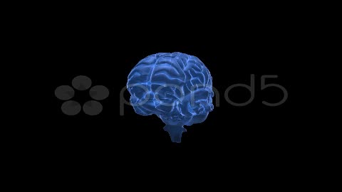 After Effects Project - Pond5 Neuron Brain Concept 12614619 After Effects Project - Pond5 Neuron Brain Concept 12614619