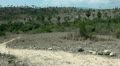 Komodo island Rinca landscape Video