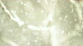 Snowy Background - Snow Globe