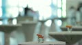 video clip 12740391