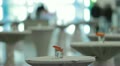 video clip 12740609