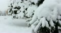 video clip 12765461