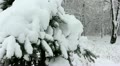 video clip 12765471
