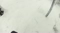 Walking on snowdrifts in the wood Video