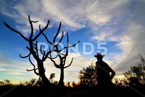 Stock photo of Arizona Cowboy Enjoys Sunset