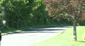 School bus on the road (1 of 2)