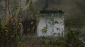 Old garage and branches