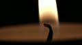 video clip 19643435