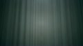 Dark grey rays